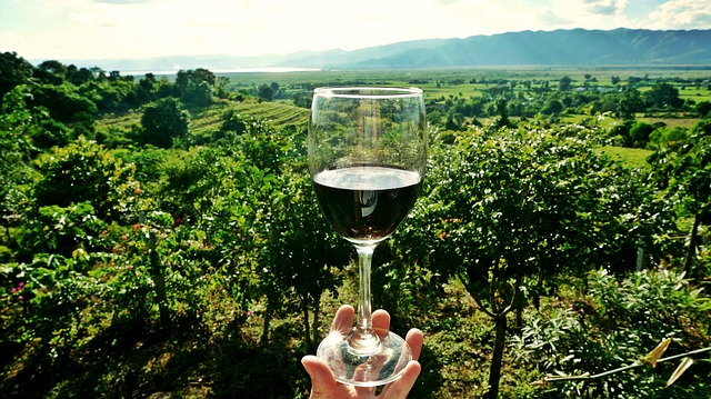 Zuid-Afrikaanse wijn met uitzicht