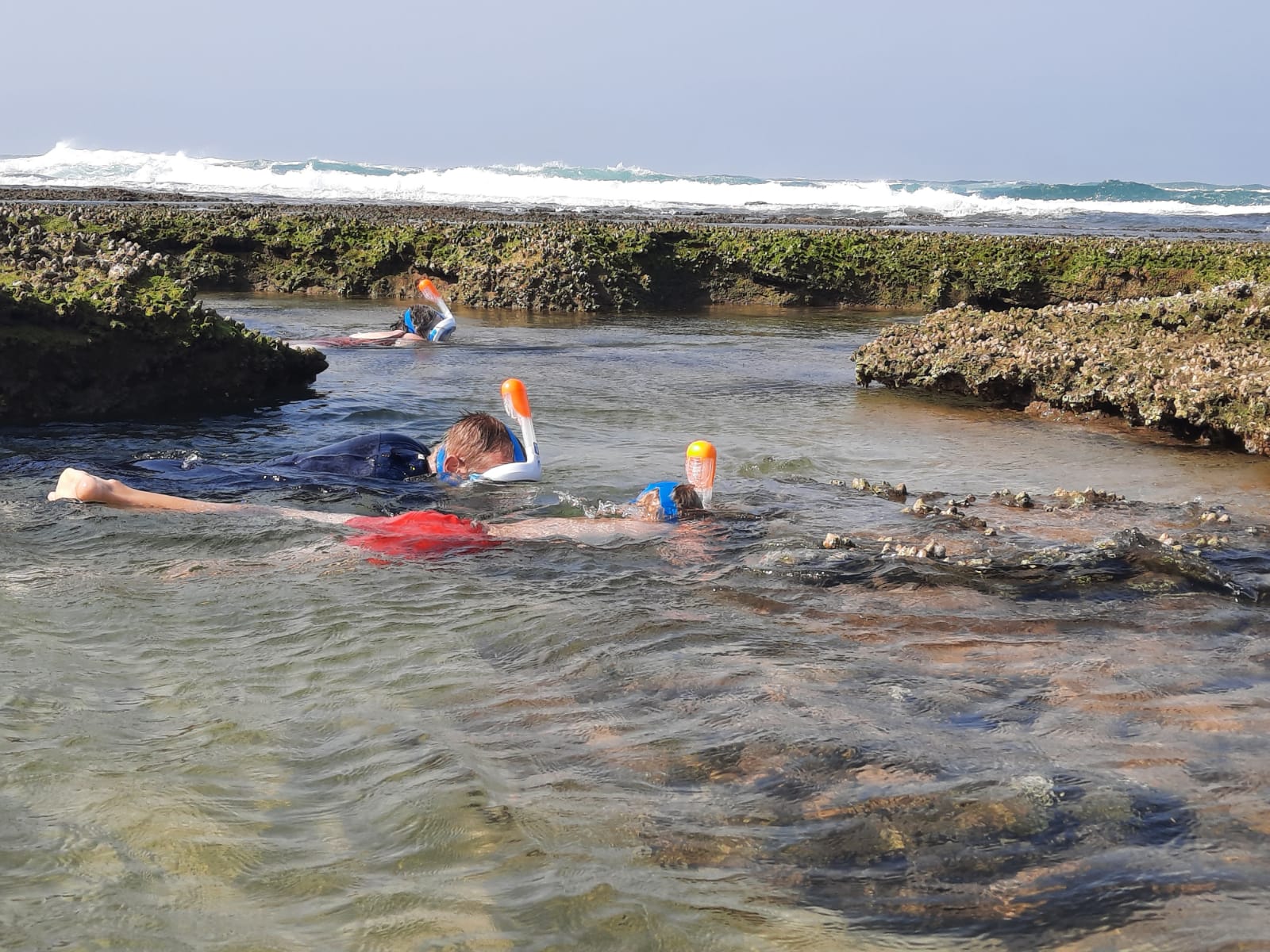 Snorkelen in St.-Lucia, iSimangaliso Wetland Park, KwaZulu-Natal