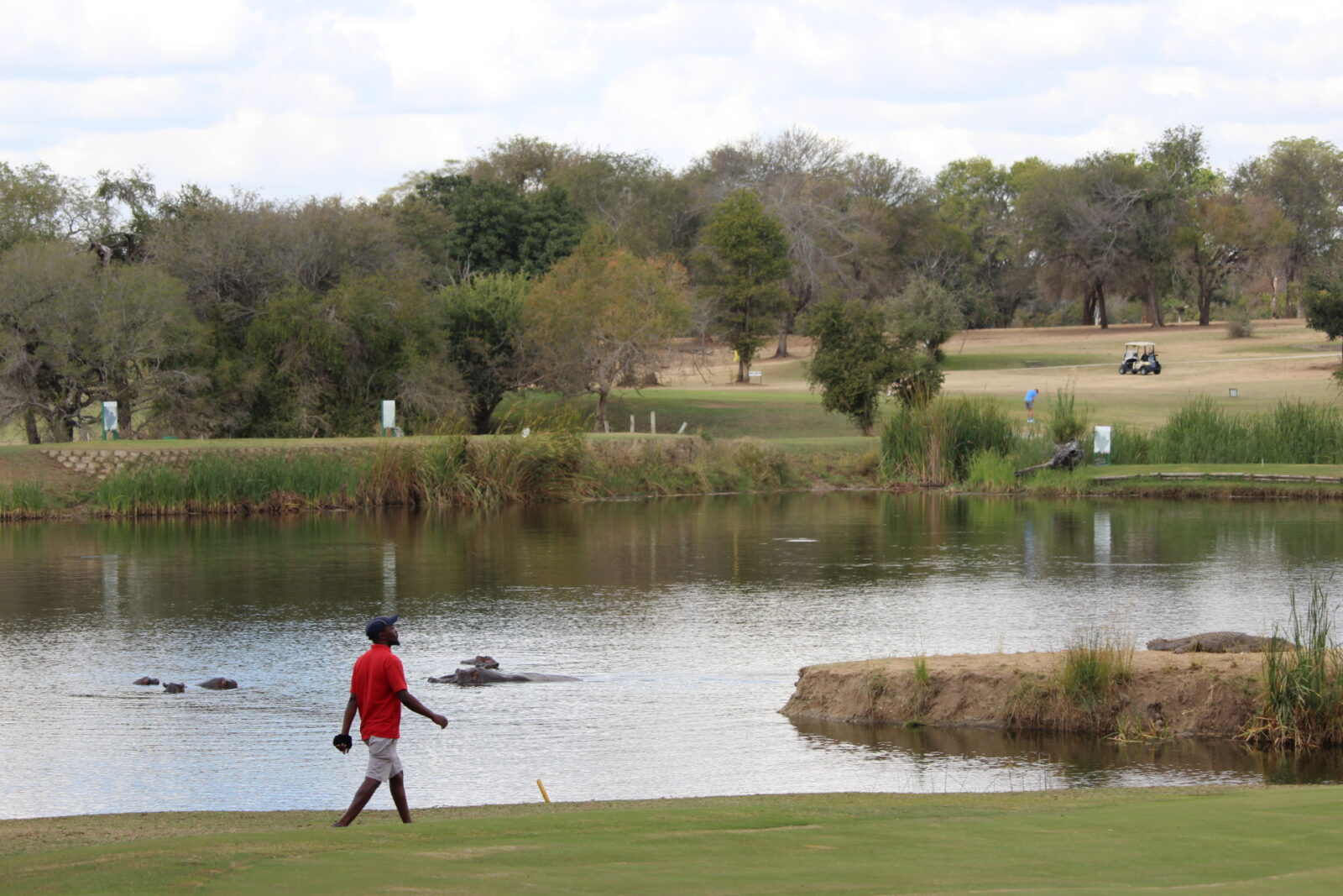 Skukuza Golf, Krugerpark