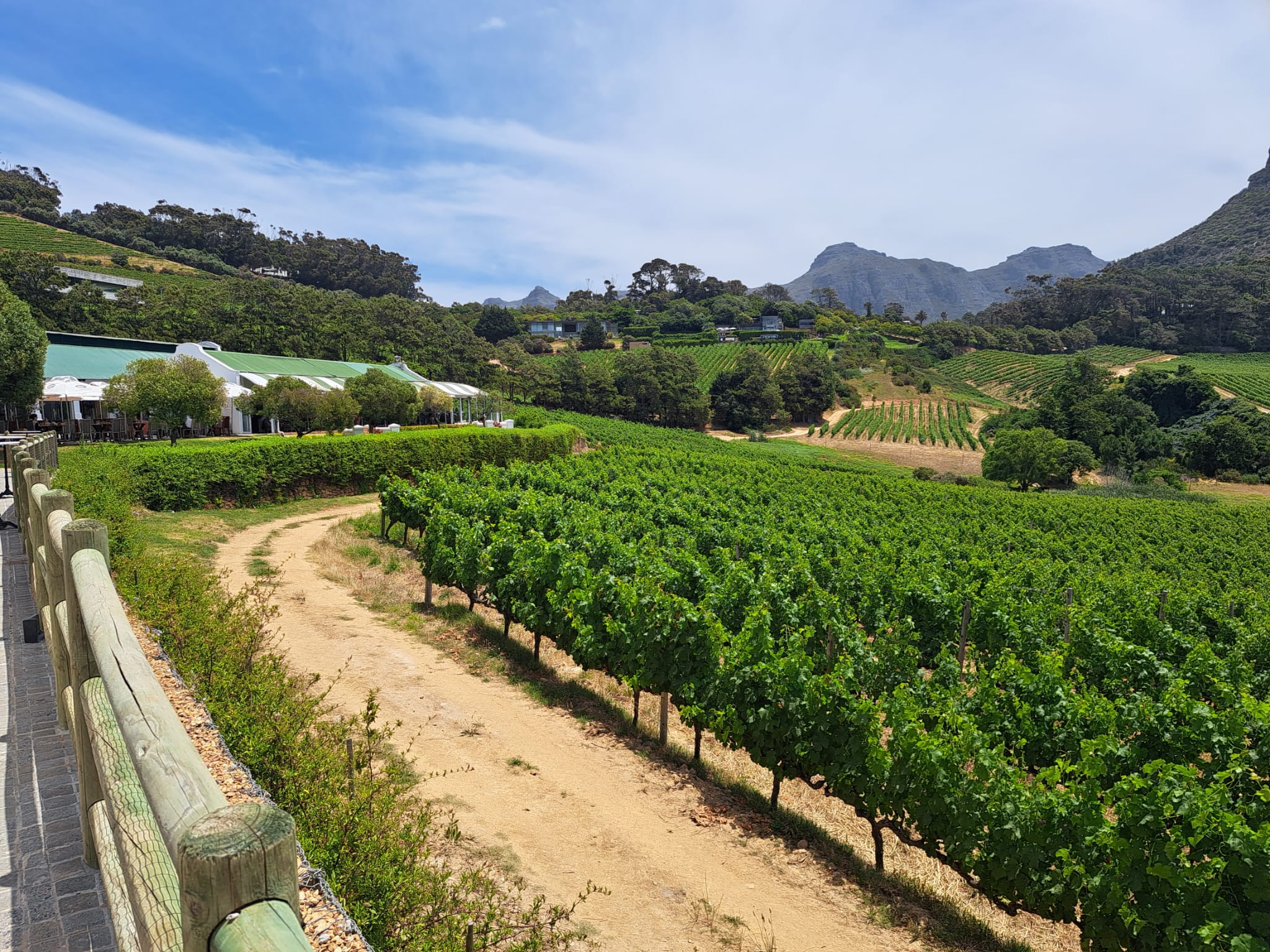 Wijn proeven in de Kaap Regio, Zuid-Afrika