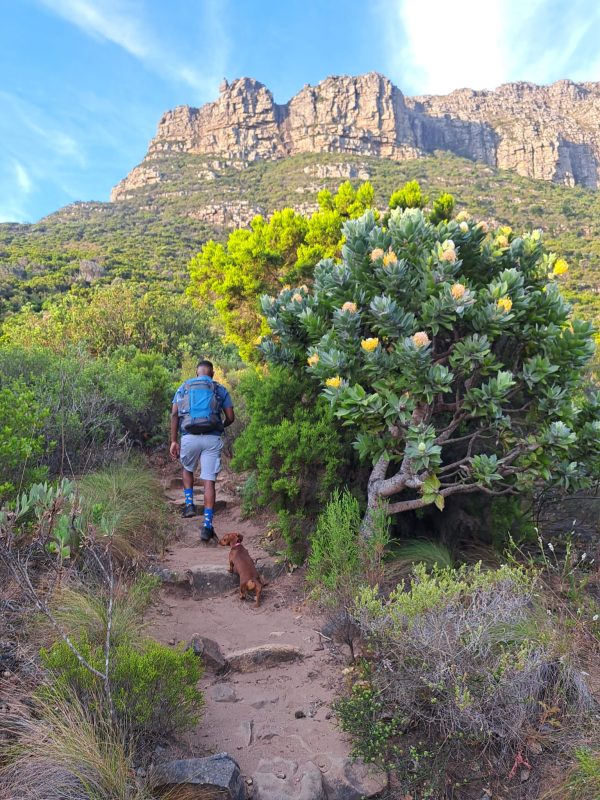 Wandeltocht met de hond in Zuid-Afrika
